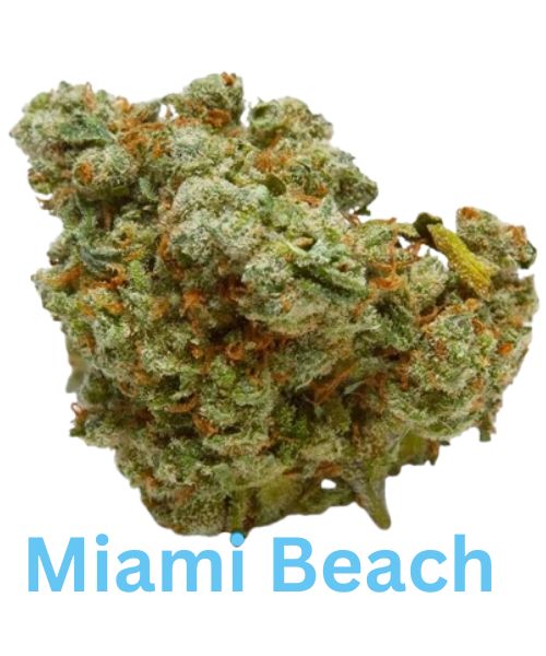 Miami Beach