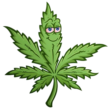 Cannabis