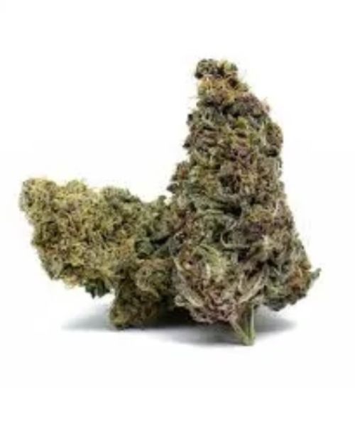 cannabis bud